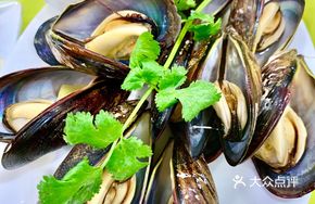 Steamed Mussels