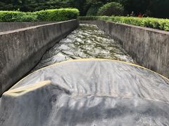 游乐设施-上海共青森林公园