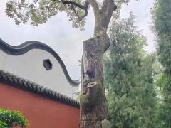 -成都武侯祠博物馆