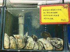 -蚝专家(北滘店)