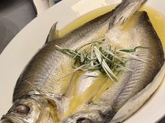 -悦海·家宴·冰花皮皮虾大锅贴(宝龙店)