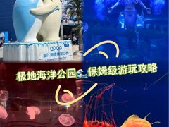 -西安曲江海洋极地公园