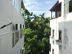 -Jungle Kitchen