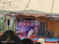 -攀枝花公园