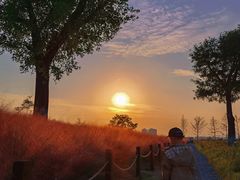 -汉长安城未央宫国家考古遗址公园