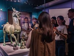 -广西壮族自治区博物馆