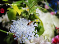 IMG_6151_副本-EATALIA意塔利意式餐厅(鼓楼店)