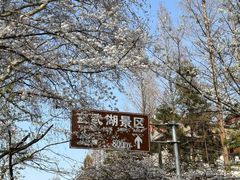 -鸡鸣寺