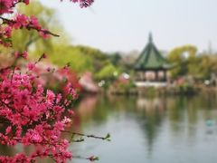 -无锡蠡湖国家湿地公园-蠡园