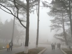-青岛海滨风景区