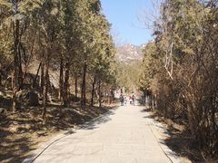 -北京凤凰岭