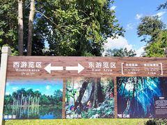 -中国科学院西双版纳热带植物园