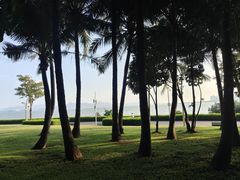 -深圳湾公园(南山区)