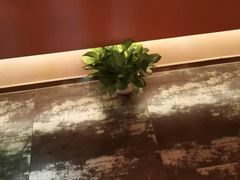 -霖公馆SPA·足道(普善路店)