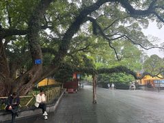 -桂林独秀峰王城景区