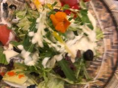 德川家沙拉-德川家日本料理(中关村寰太大厦店)