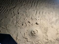 -那琴半岛地质海洋公园