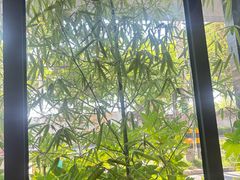 -东园小馆·早茶·淮扬小炒(江都路店)