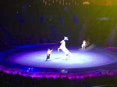 -珠海横琴长隆《卡卡虎奇遇记》