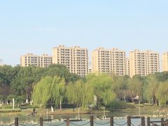 -桐乡植物园