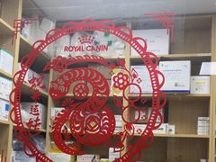 -美联众合爱康动物医院•复杂内科•肿瘤科•牙科•腔镜诊疗中心