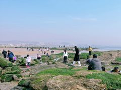 -巧克力渔家.小船海鲜胶东菜(万平口店)