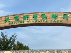 -北京野生动物园