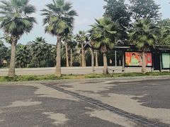 -枫香湖儿童公园