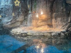 -石家庄海洋公园