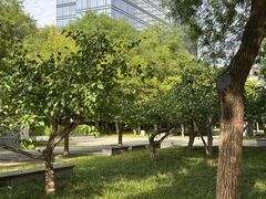-木塔寺遗址生态公园