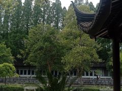 -苏州文庙(姑苏区)