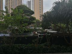 -三亚凤凰水城凯莱度假酒店