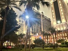-澳门威尼斯人综合度假区