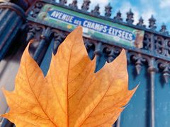 -路易·威登(香榭丽舍大道店)