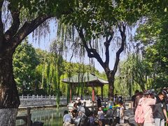 -教师之家赵家羊汤馆(东青龙街店)