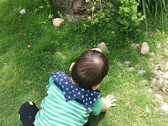 -苏州河梦清园环保主题公园