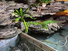 -山水茶艺馆·点心粤菜·30年老字号