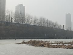 -前关湿地公园