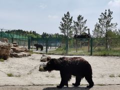 -鄂尔多斯野生动物园