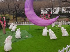 -香雪海