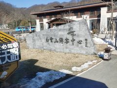 -洛阳白云山景区