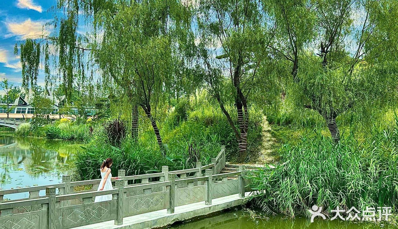 成都周边游‼️40000平现实版绿野仙踪🖼 .