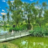 成都周边游‼️40000平现实版绿野仙踪🖼 .