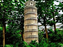 -南宫五洲植物乐园