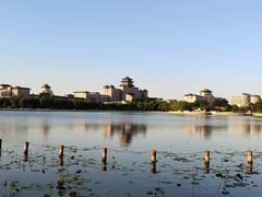 -莲花池公园