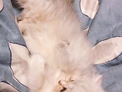 -佳雯宠物医院(金华南路分院)