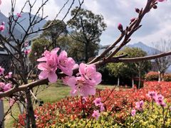 -庐山西海主景区