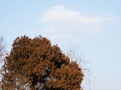 -青岛海滨风景区小鱼山