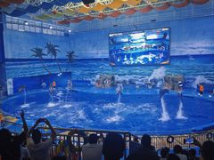 -多彩贵州城极地海洋世界