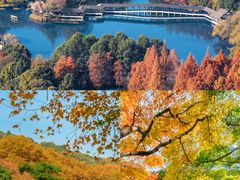 -北山街历史文化街区